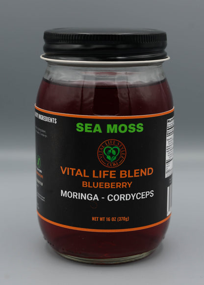 VITAL LIFE BLEND (MORINGA & CORDYCEPS)