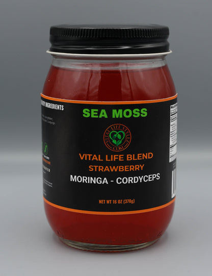 VITAL LIFE BLEND (MORINGA & CORDYCEPS)