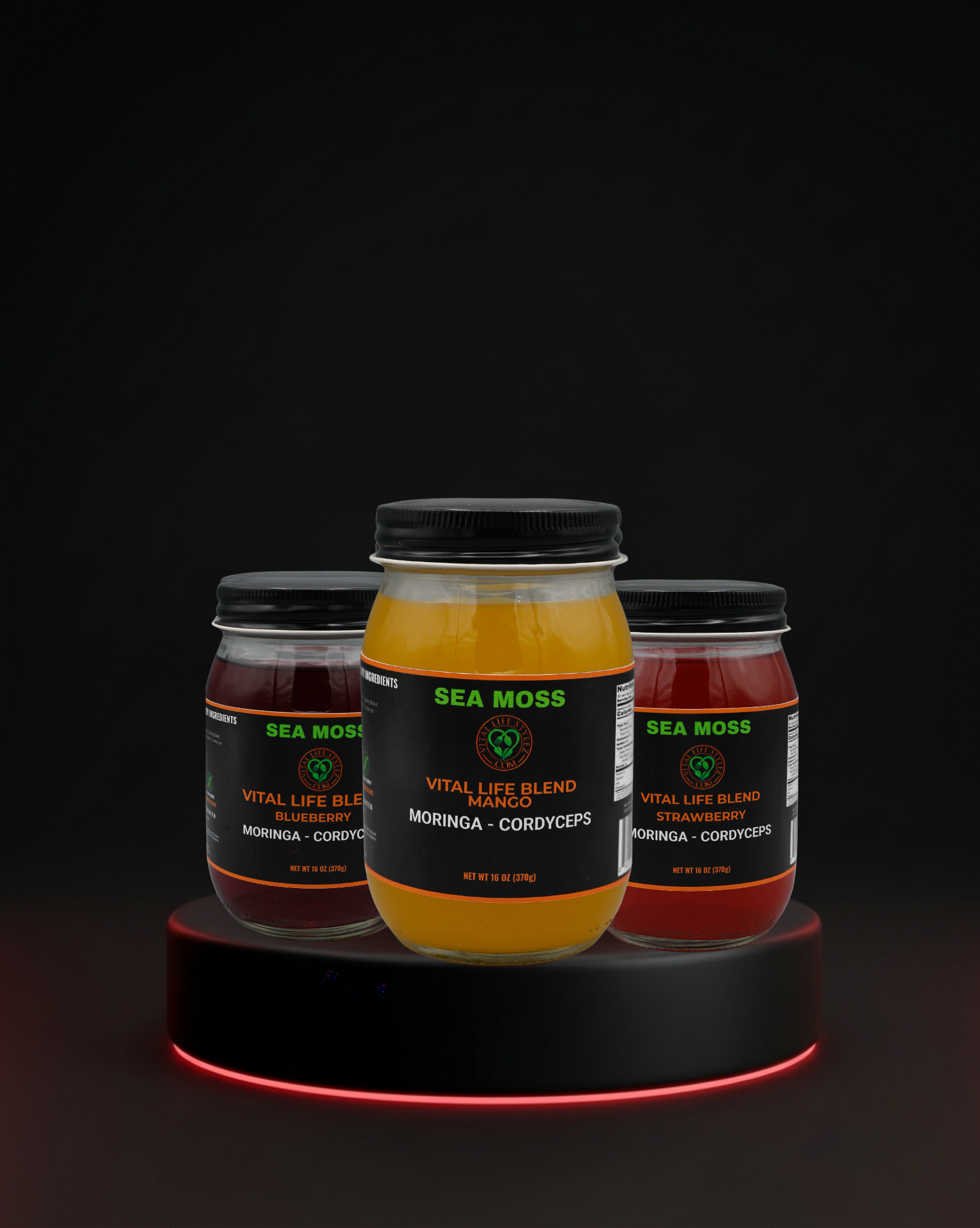 Vital Moss - Energy & Focus Blend  (Pack of 3)